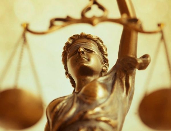 Romsilva câștigă definitiv procesul pădurea din Bacău