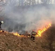 ISU Mehedinți: Incendiu de vegetație