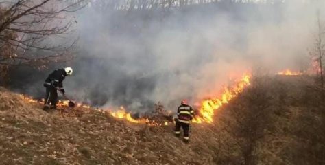 ISU Mehedinți: Incendiu de vegetație