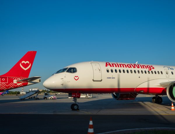 AnimaWings: Traficul pe aeroporturile regionale a crescut cu peste 50%