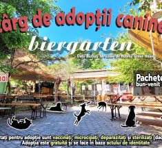 Târg de adopții la Biergarten