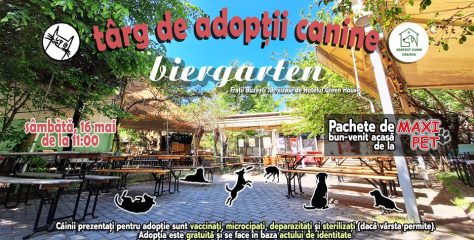Târg de adopții la Biergarten