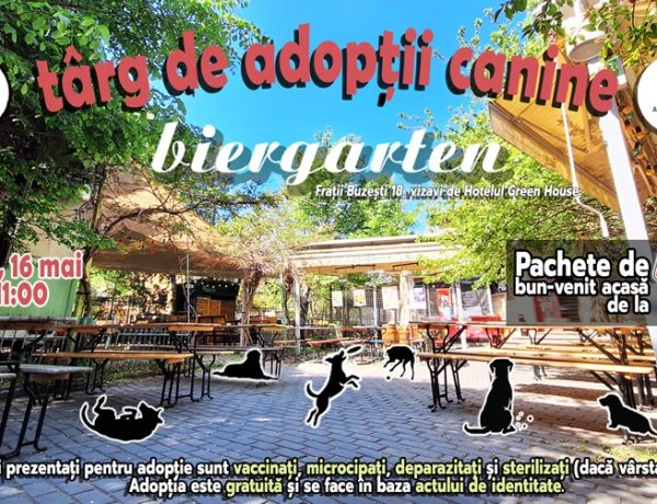 Târg de adopții la Biergarten