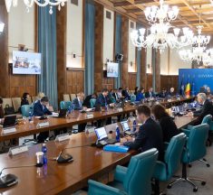 Guvern: Analiza eficienței administrației publice centrale și locale