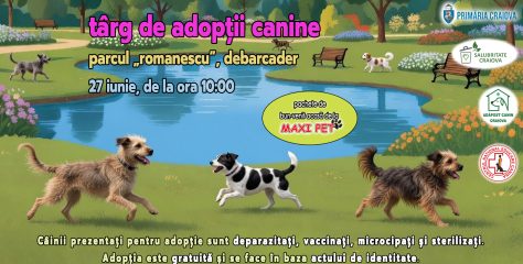 Adoptă un cățel și viața ta se va schimba total