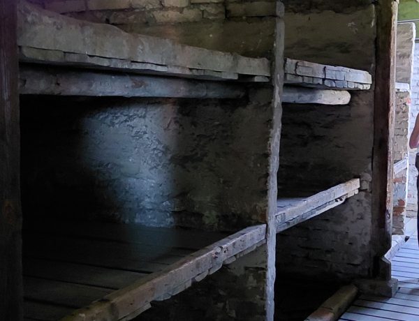 Am văzut Auschwitz-ul!