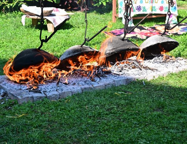 Cultura țestului în Oltenia