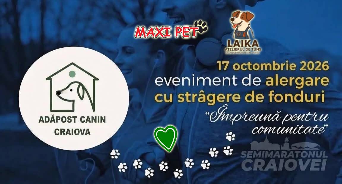 8 pufoșenii caută stăpân